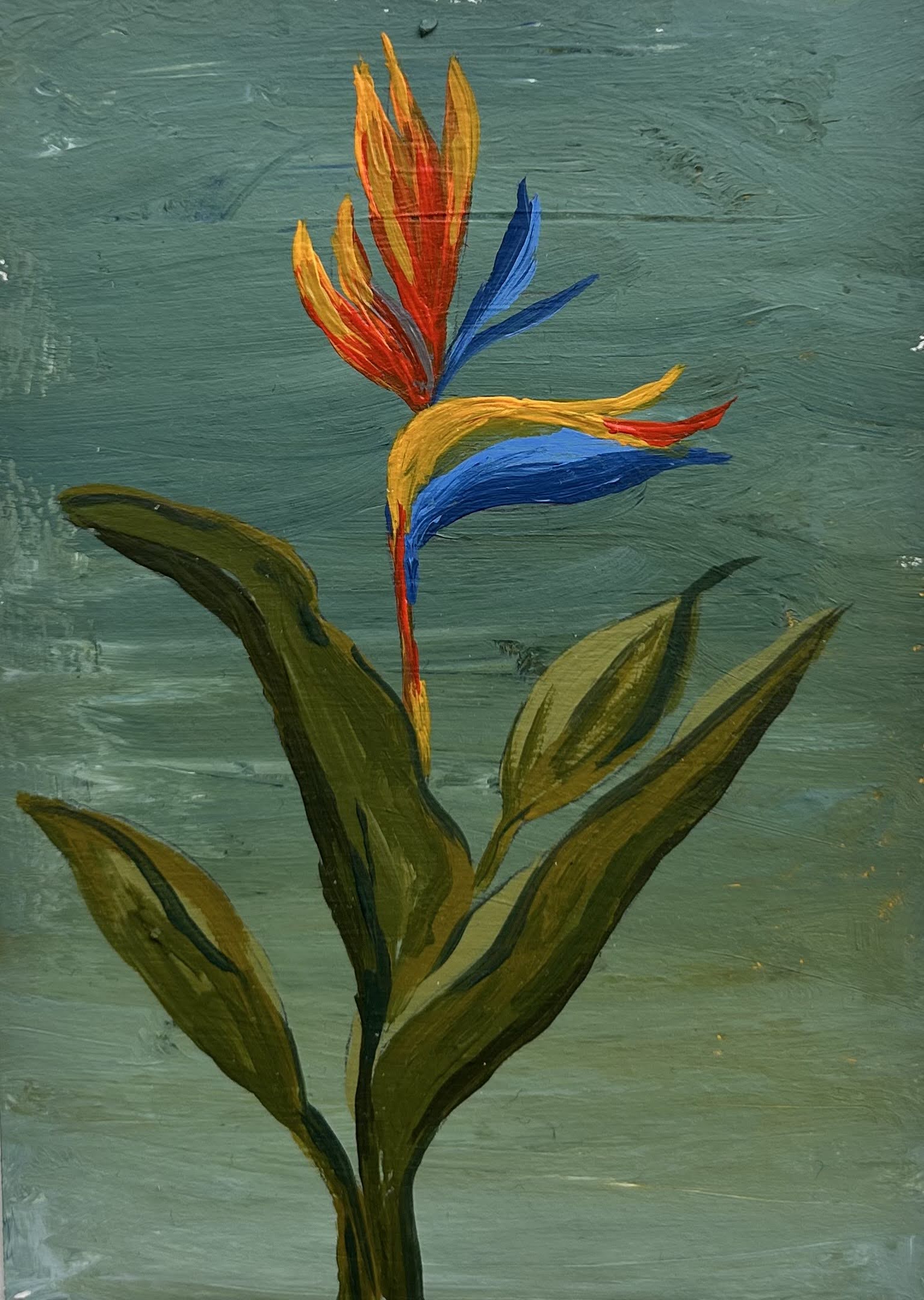 Nature collection cover